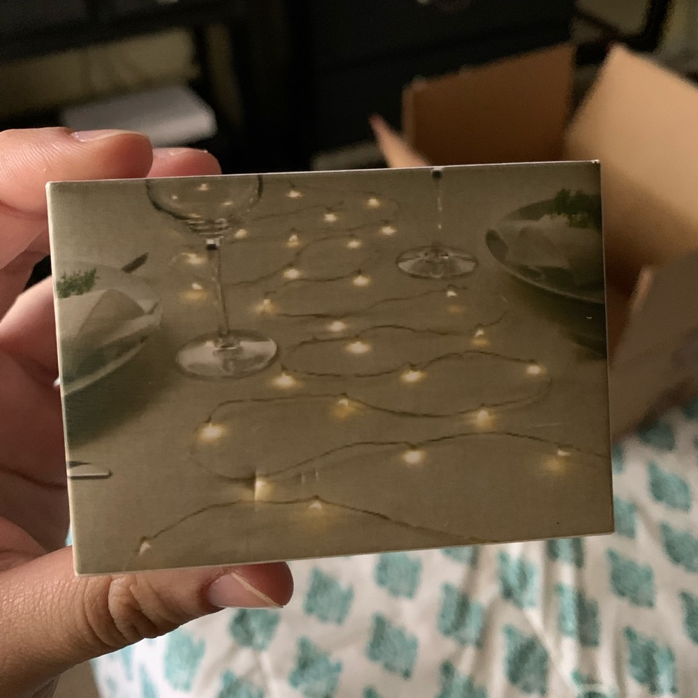 fairy mini lights